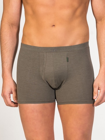 zd ZERO DEFECTS Boxershorts 'Heracles Soya Fly Front Boxer' in Grün: Vorderseite