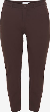 Fransa Curve Slim fit Chino Pants ' Plano Tessa ' in Brown: front