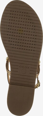 GEOX T-Bar Sandals in Gold