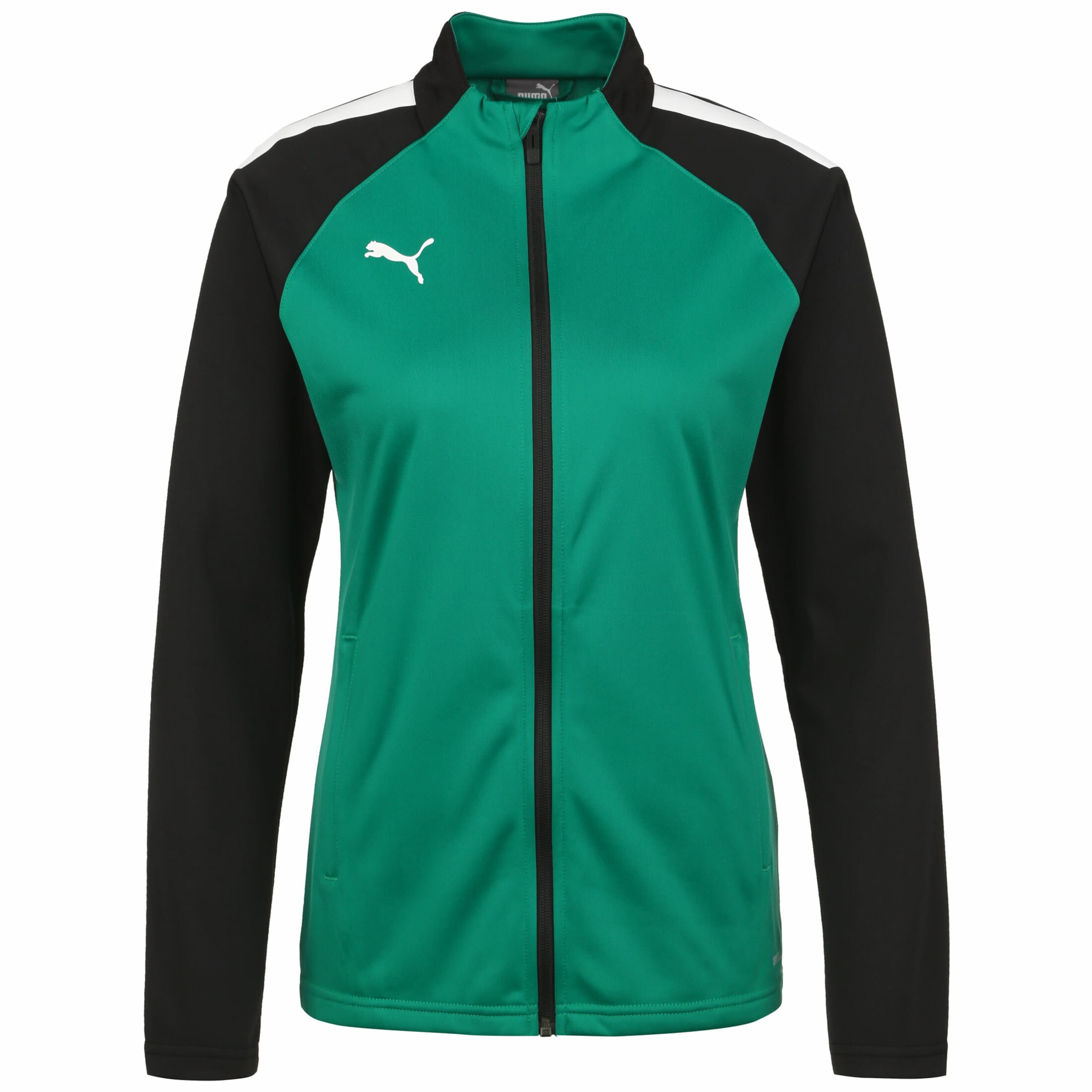 PUMA Trainingsjacke 'Team Liga' in Grün: Vorderseite