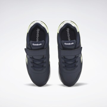 Reebok Sneakers 'Royal Classic' in Blue