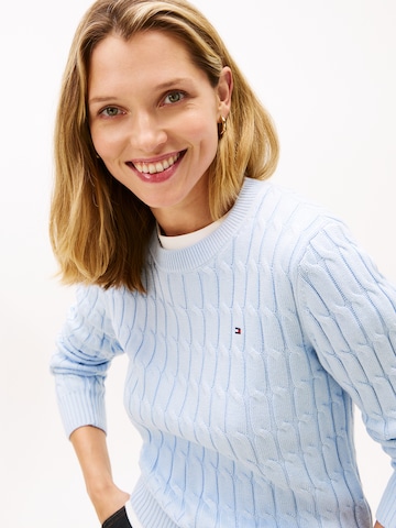 TOMMY HILFIGER Pullover in Blau