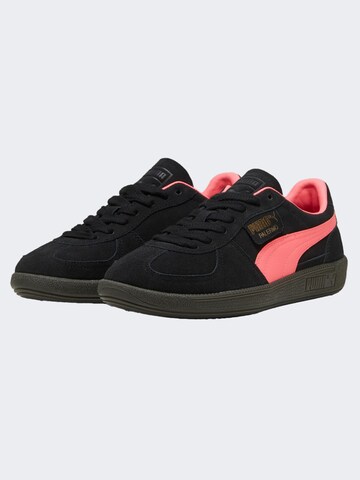 PUMA Sneakers ' Palermo ' in Pink