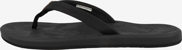 REEF T-Bar Sandals 'Tides' in Black