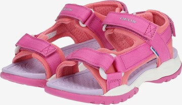 Sandales GEOX en rose