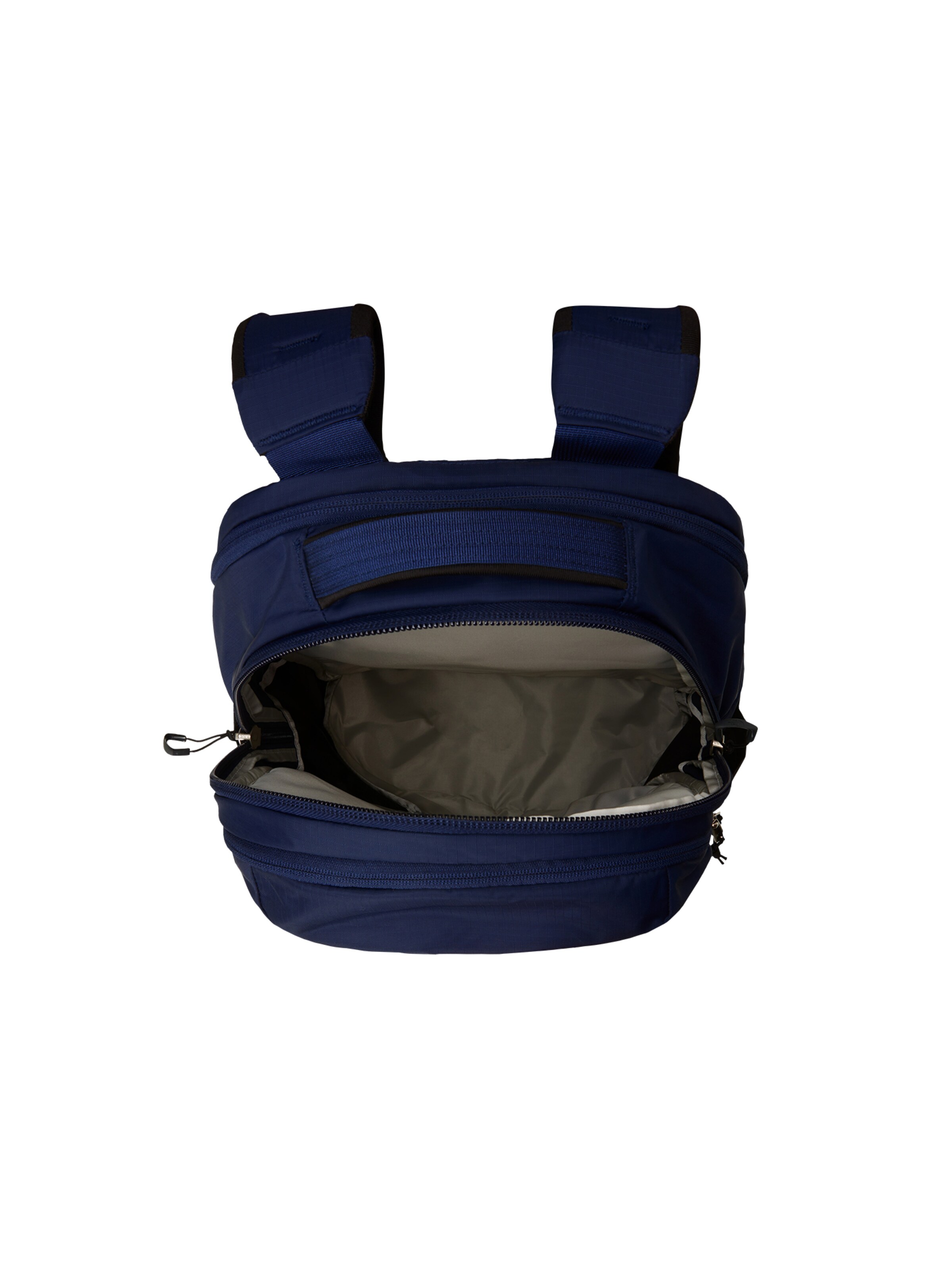 Rucsac sport 'Borealis' de la THE NORTH FACE pe albastru