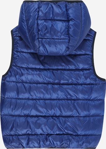 Champion Authentic Athletic Apparel Vest 'Legacy' in Blue