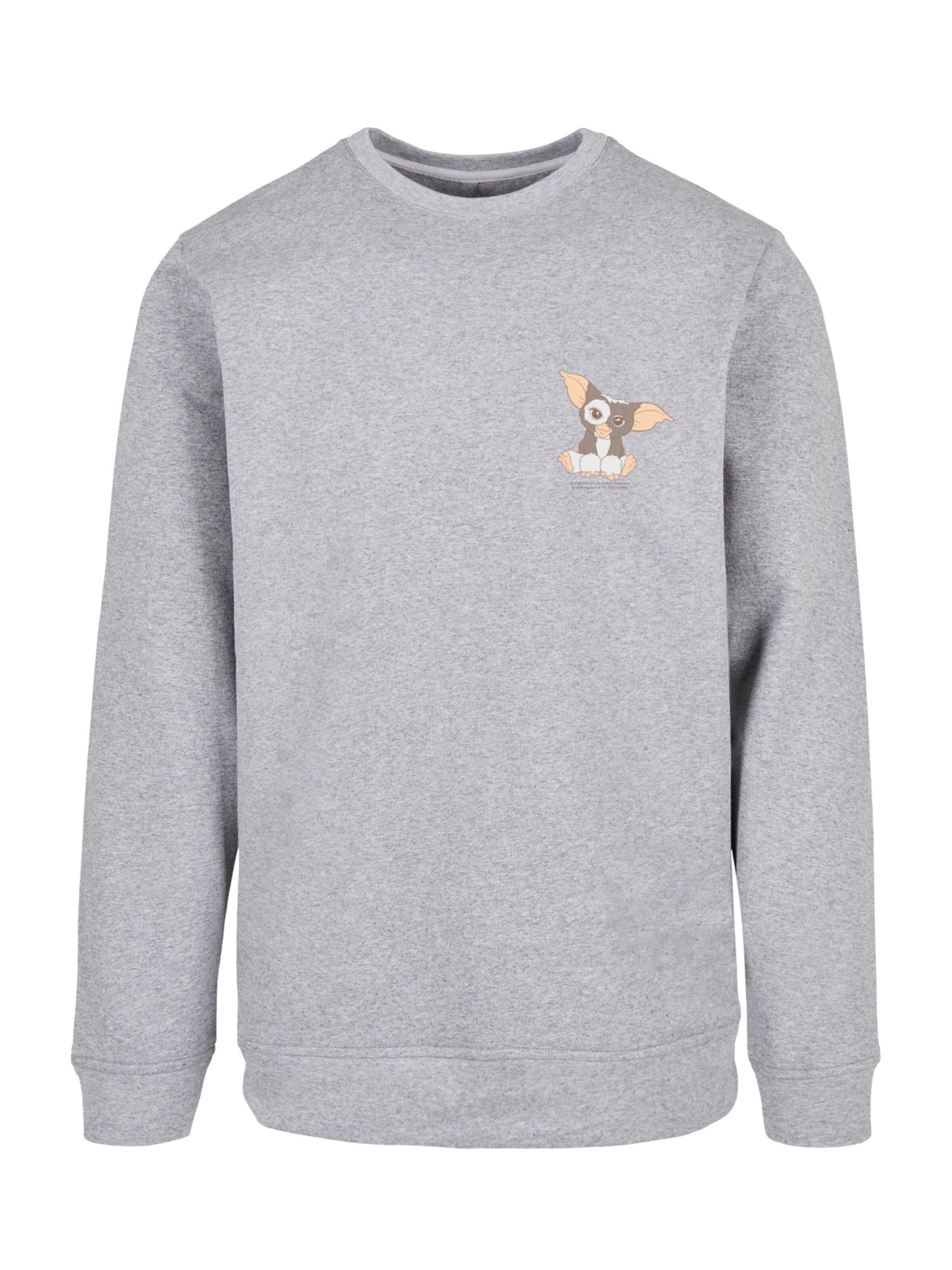 F4NT4STIC Sweatshirt 'Gizmo Chest' in Grey: front