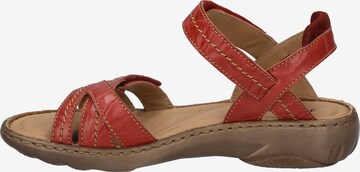 JOSEF SEIBEL Sandals in Red: front