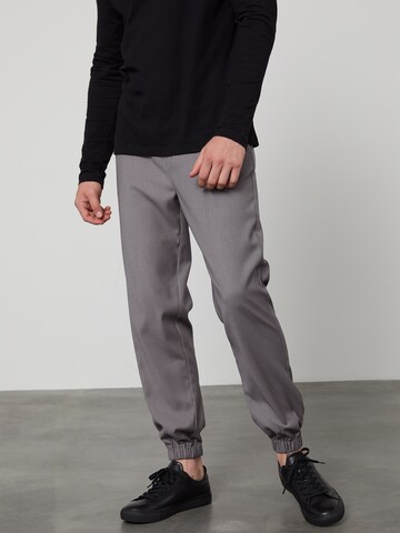 Effilé Pantalon DAN FOX APPAREL en gris : devant