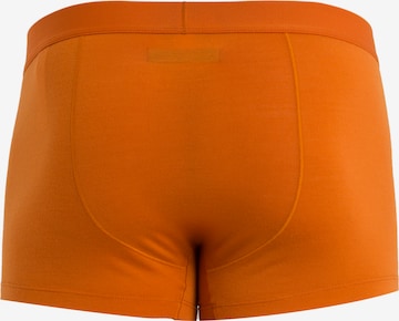 ICEBREAKER Boxershorts 'Anatomica' in Orange