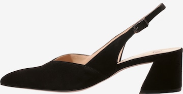 Högl Slingback Pumps 'Laura' in Black: front