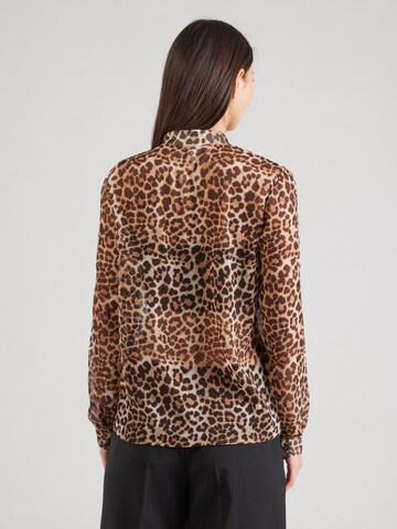 QS Bluza | rjava barva