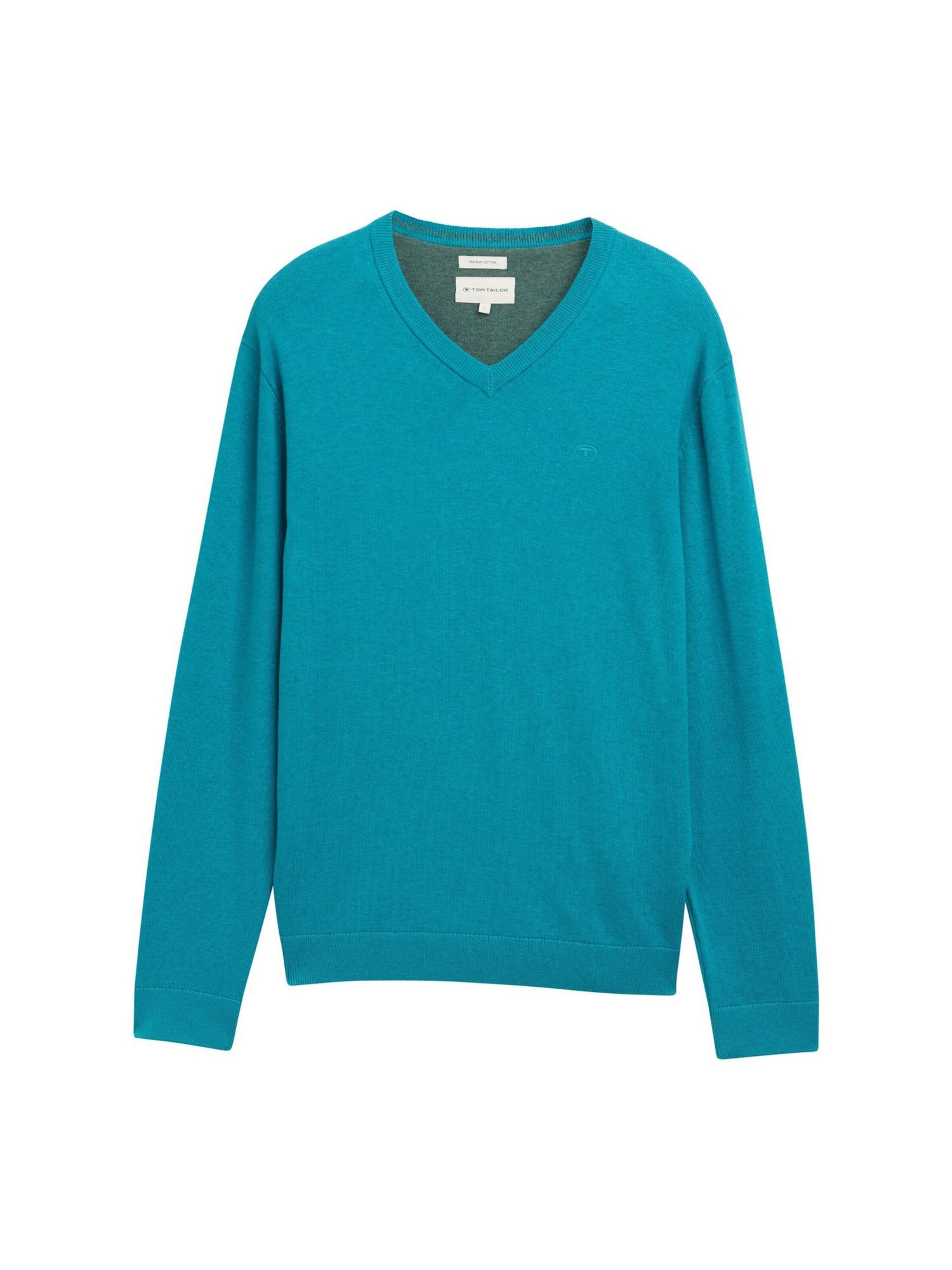 TOM TAILOR Sweater in Blue: front