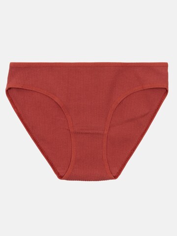 Tazzio Slip '3er-Pack F941'‌‌‌ in Braun