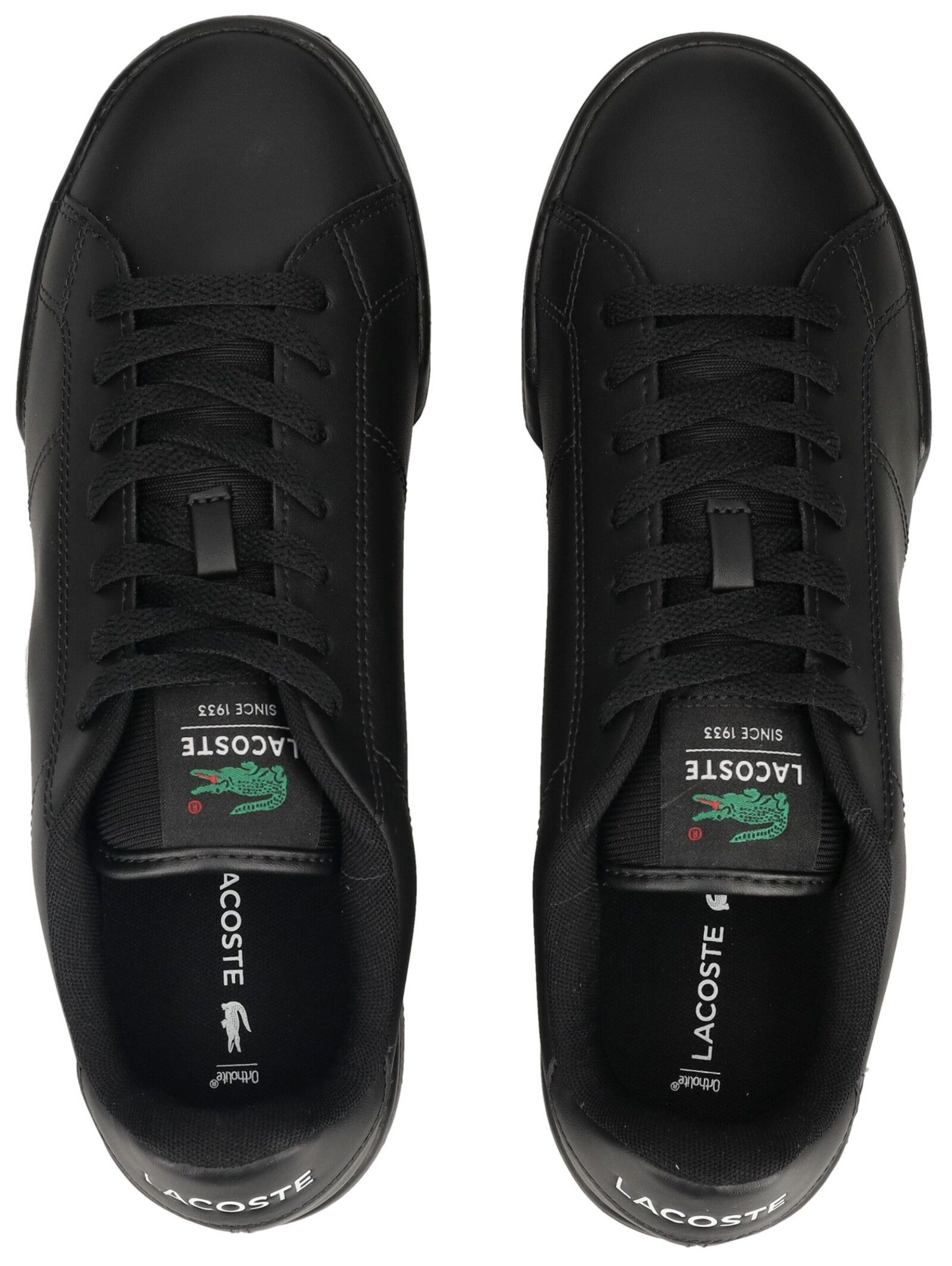 Baskets basses 'Carnaby Cup' LACOSTE en noir