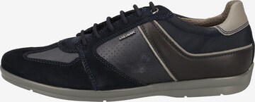 GEOX Sneaker 'Adrien' in Blau