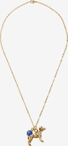 Gemshine Necklace in Gold: front