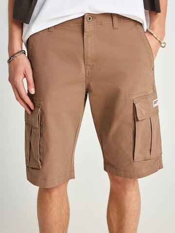 regular Pantaloni cargo di Funky Buddha in marrone: frontale