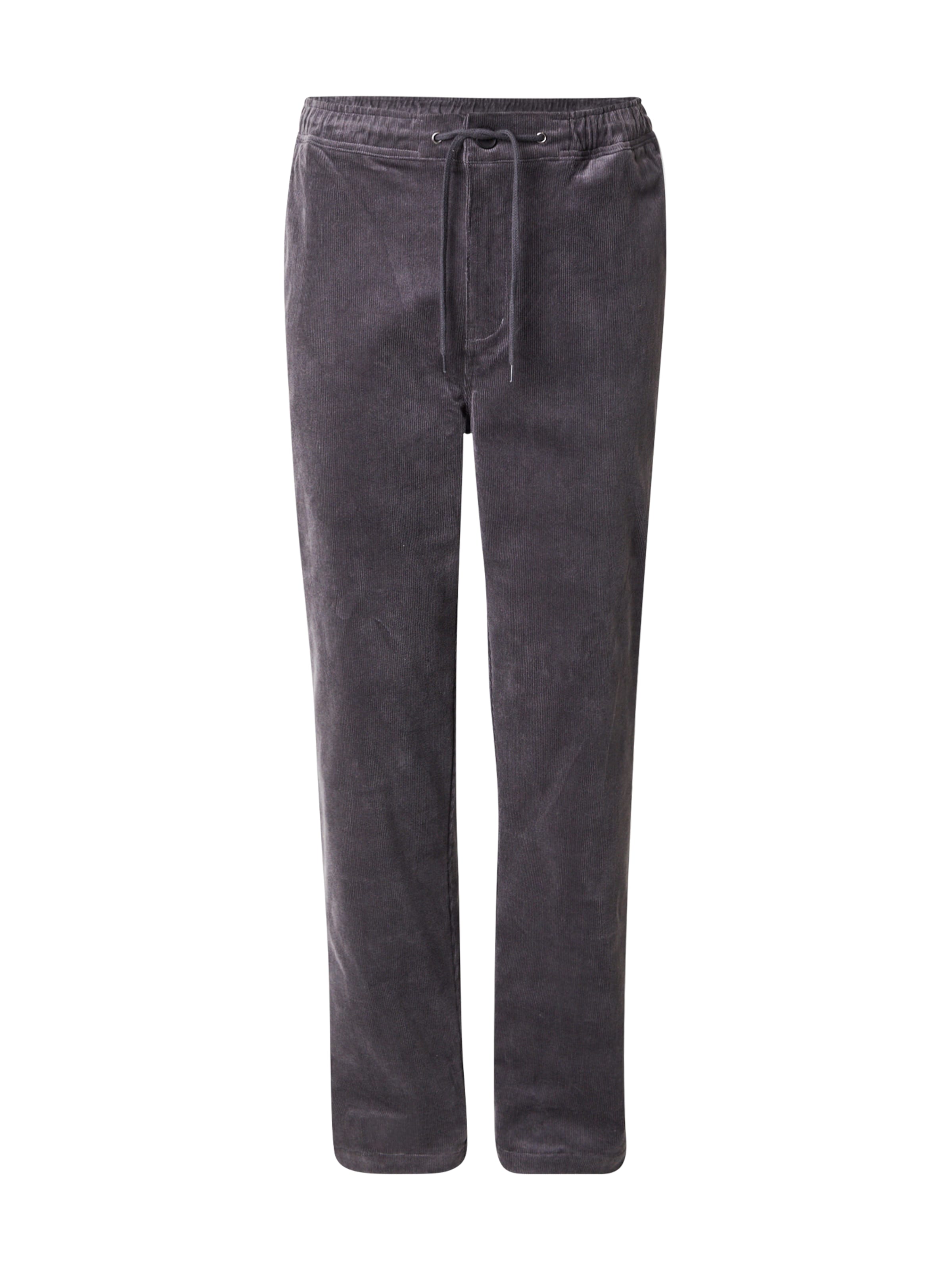 Iriedaily Обычный Штаны 'Trapas' в Серый: спереди