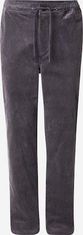 Pantalon 'Trapas' Iriedaily en gris : devant