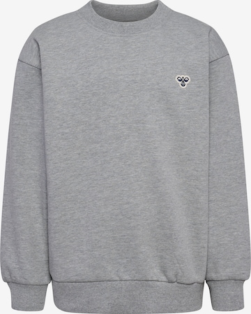 Sweat Hummel en gris : devant