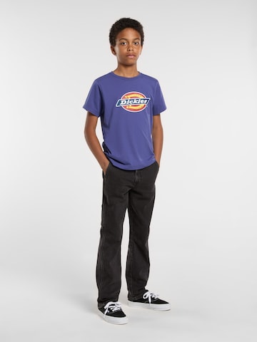 Maglietta di DICKIES in lilla