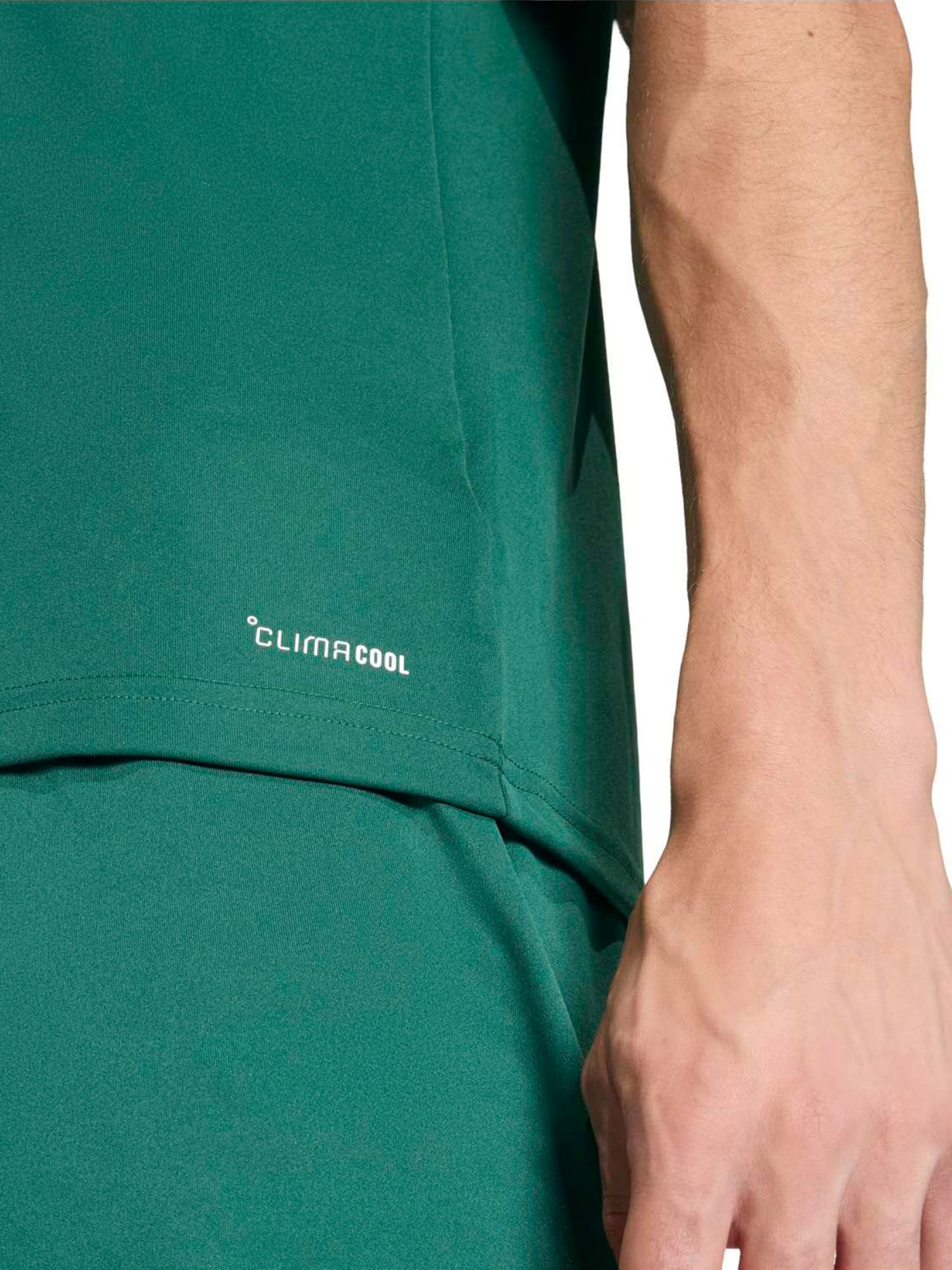 ADIDAS PERFORMANCE Funkcionalna majica 'ENT26' | zelena barva