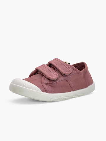 Pisamonas Sneaker‌‌‌‌‌ in Pink