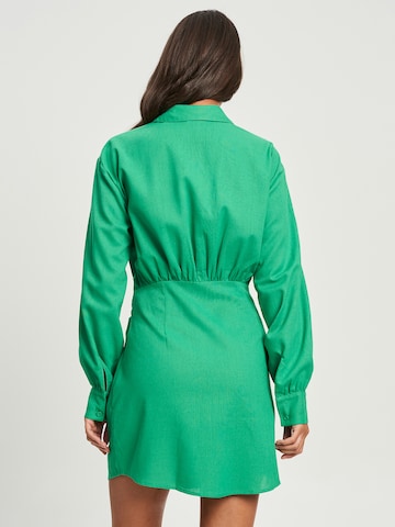 Calli Košeľové šaty 'ZAC' - Zelená: zadná strana
