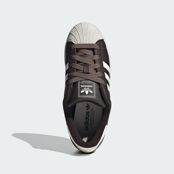 Baskets basses 'Superstar II' ADIDAS ORIGINALS en marron