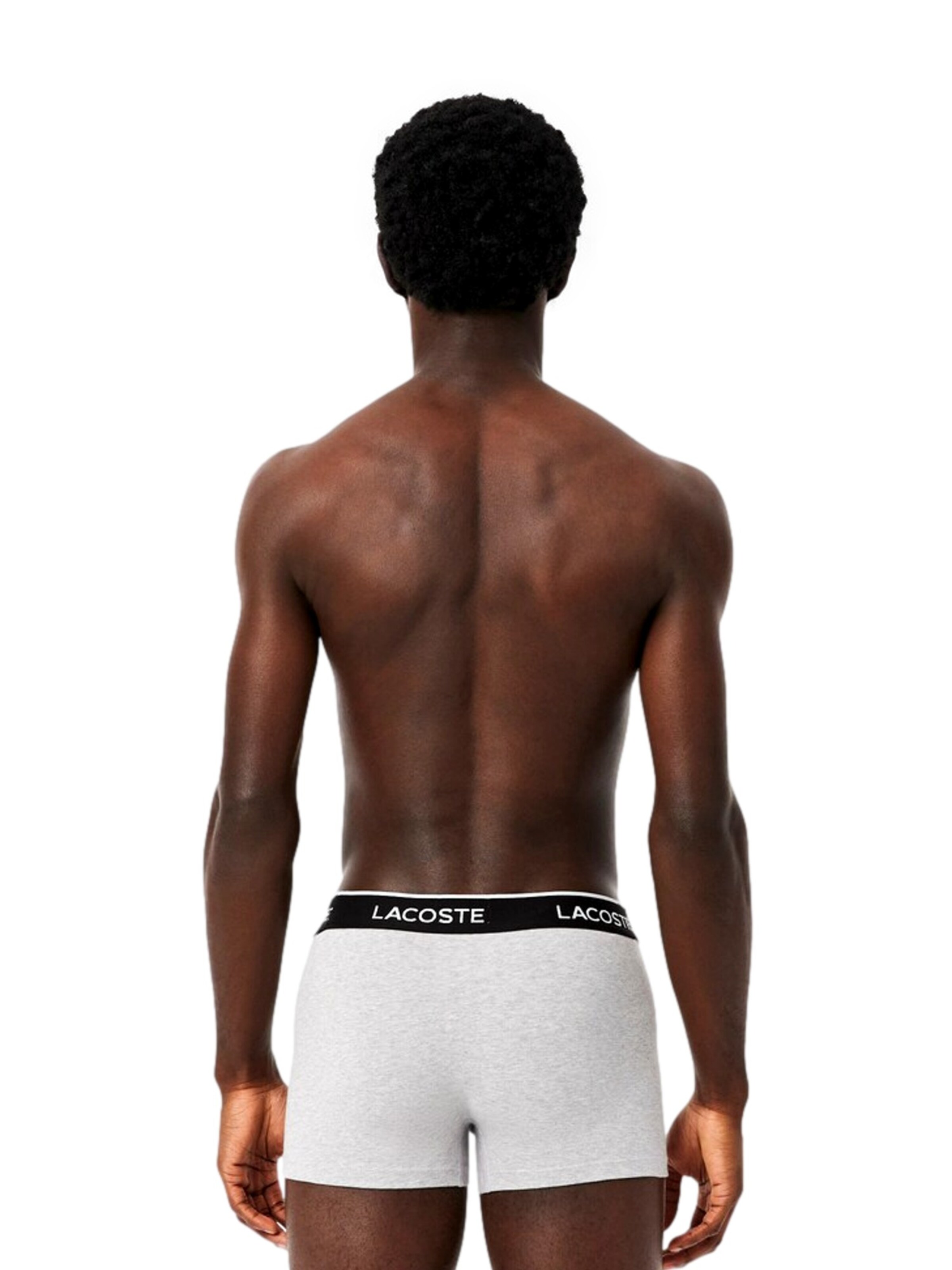 LACOSTE Boxershorts in Grijs