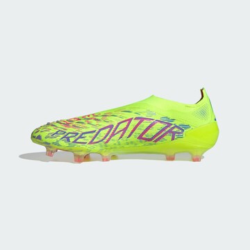 Chaussure de foot 'Predator Elite' ADIDAS PERFORMANCE en vert