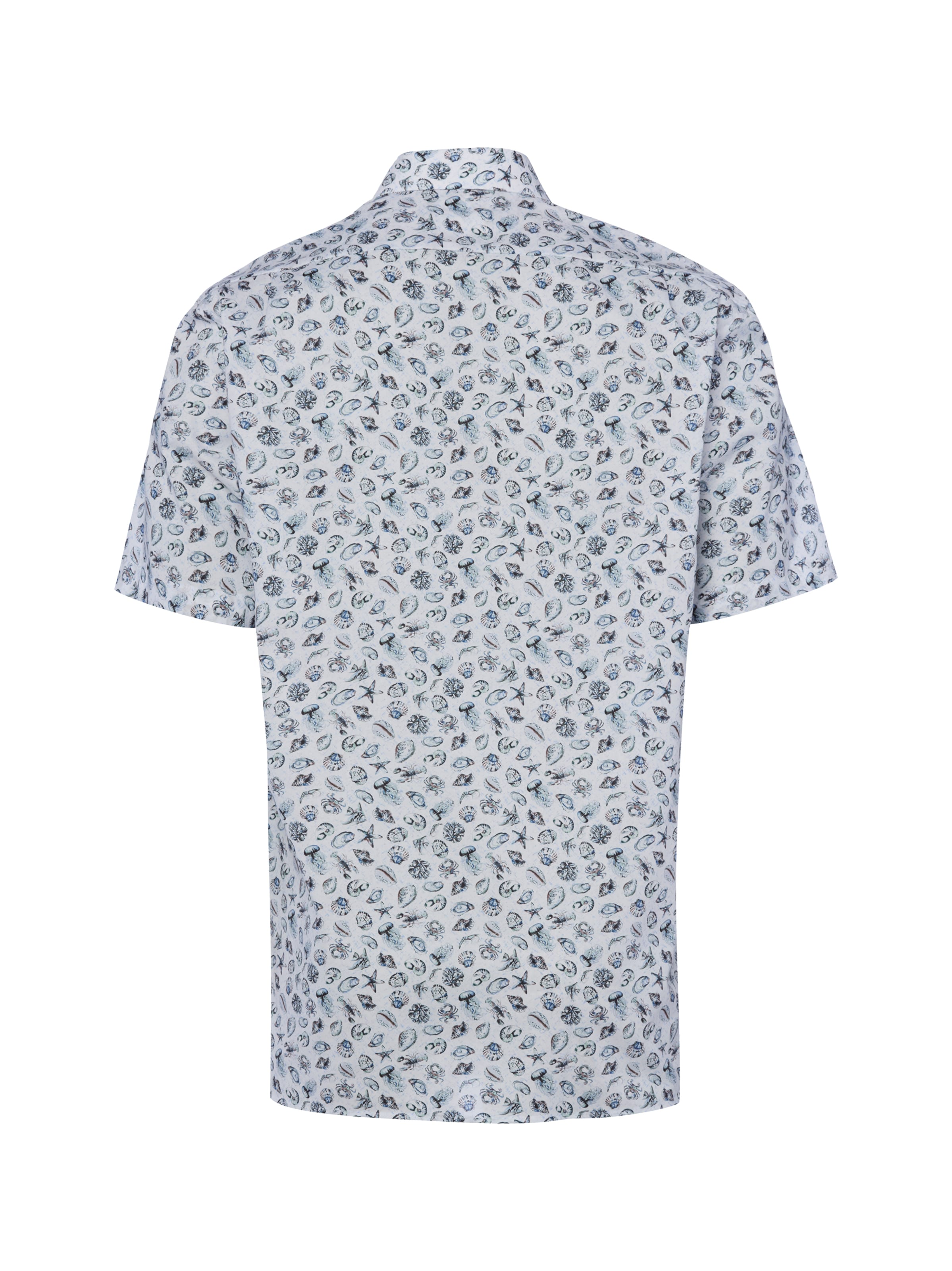Coupe regular Chemise Andrew James en blanc