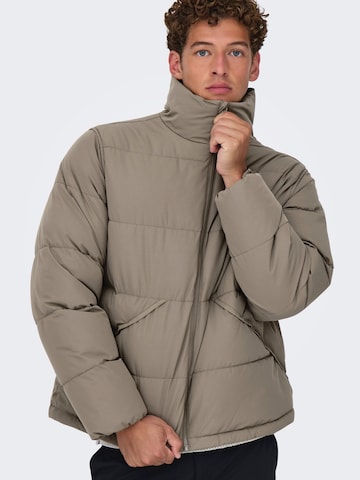 Geacă de iarnă 'ONSPACK' de la Only & Sons pe maro