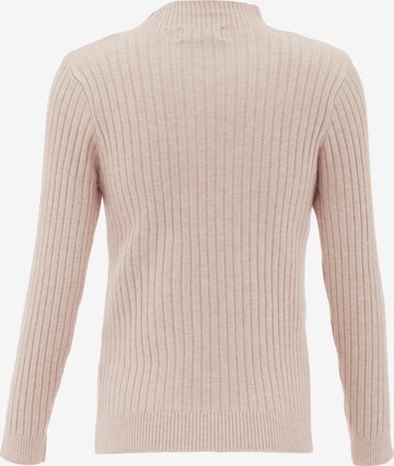 carato Pullover in Pink