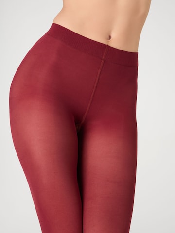 camano Fijne panty in Rood