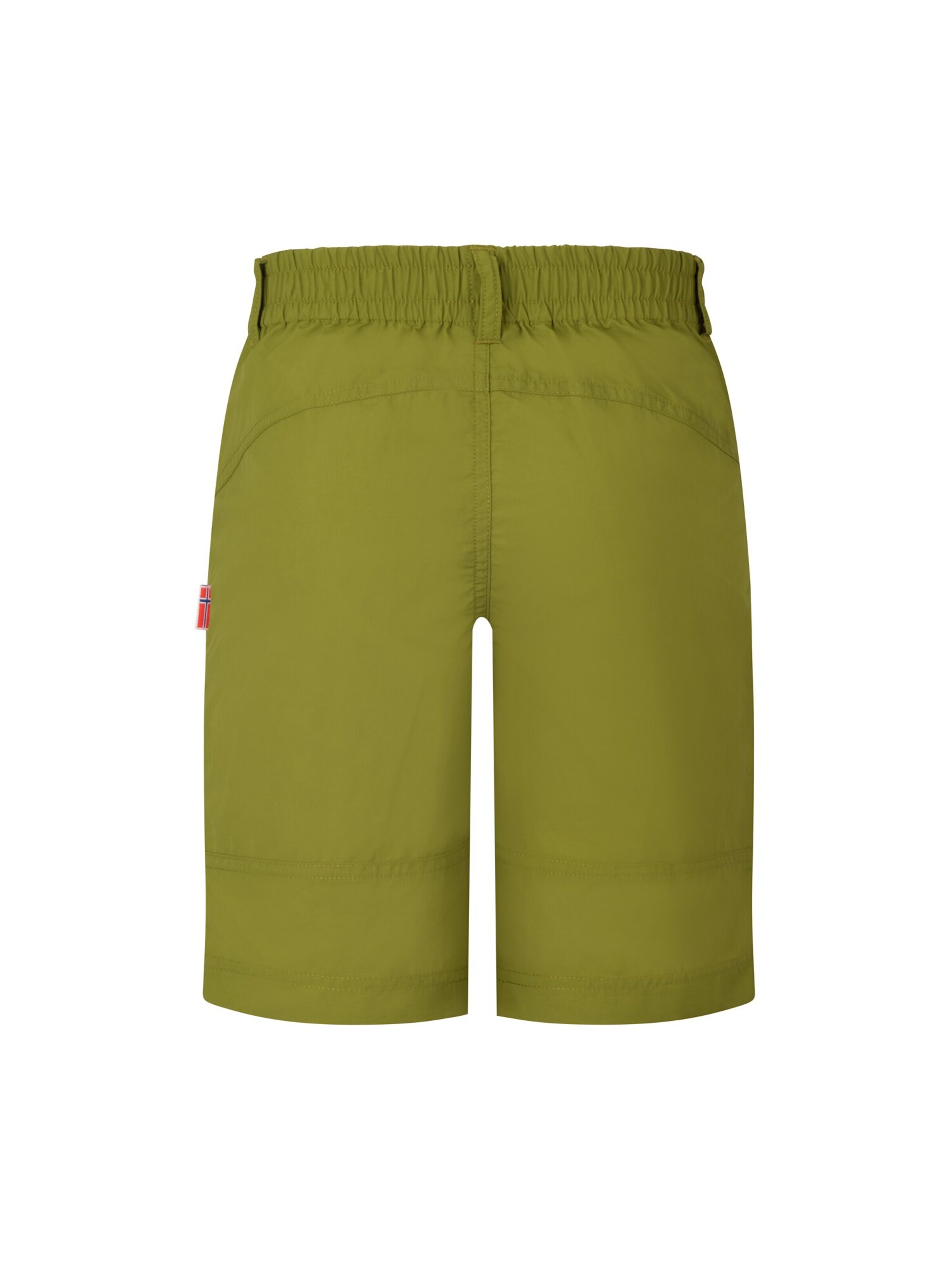 TROLLKIDS Regular Workout Pants in Green