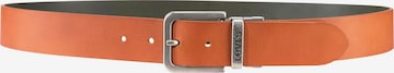 LEVI'S ® Belt in Brown