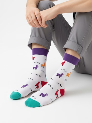 The Arctic Bay - Calcetines 'ORUN EDITION Gift box 4 Pack Unisex' en Mezcla de colores
