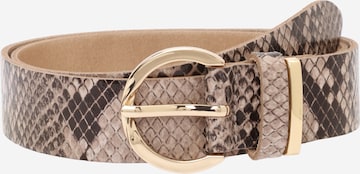 VANZETTIRemen - bež boja: prednji dio