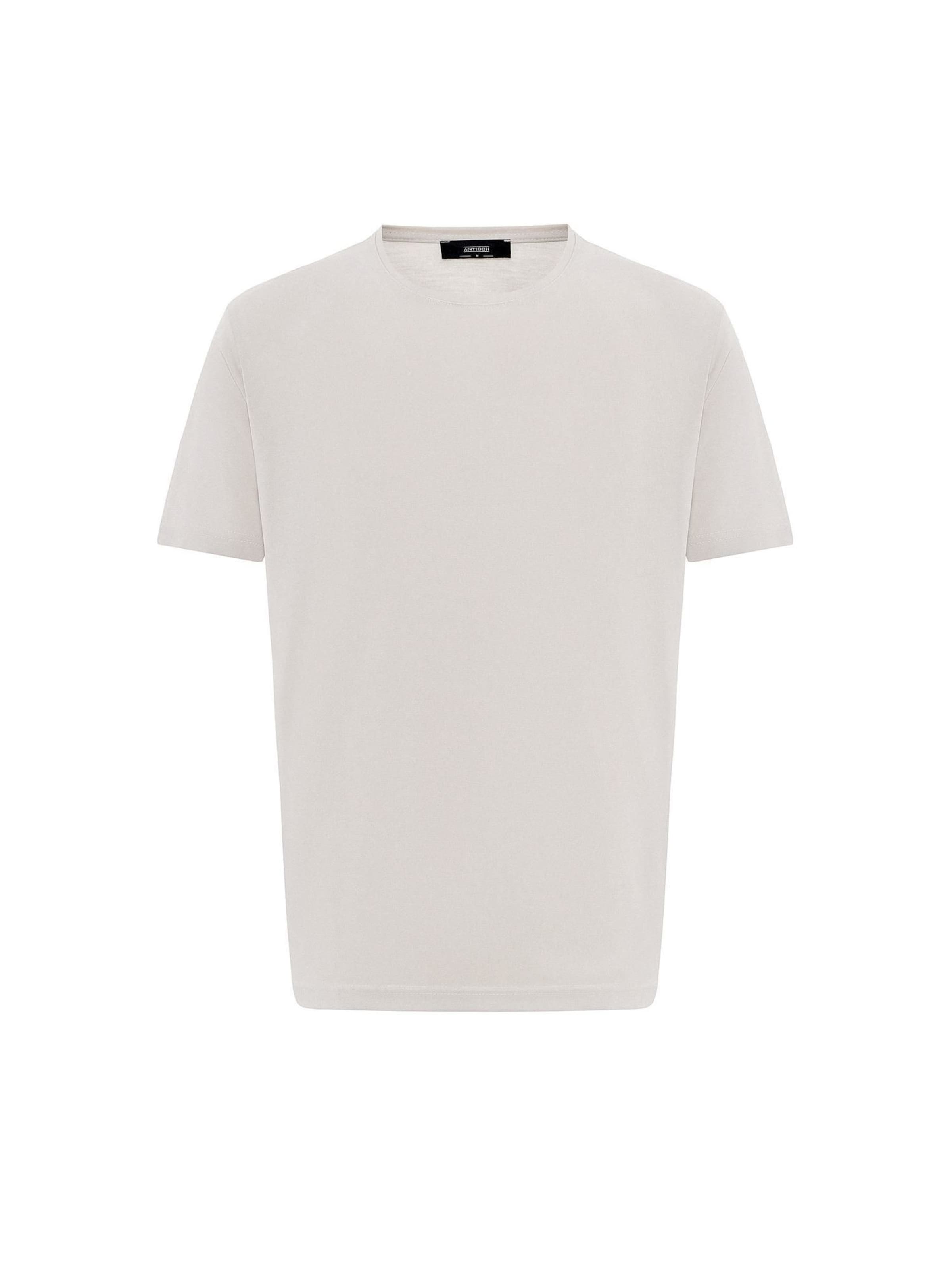 T-Shirt Antioch en gris : devant