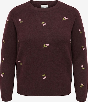 Pull-over ONLY Carmakoma en marron : devant