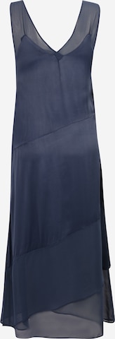 Wallis Petite Kleid in Blau