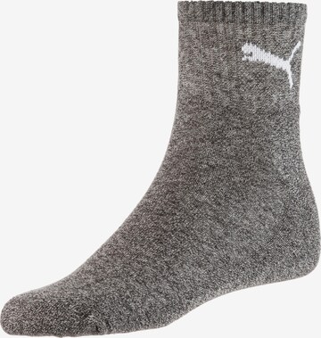 PUMA Socken in Grau