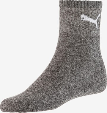 PUMA Socks in Grey