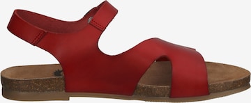 Sandalo di COSMOS COMFORT in rosso