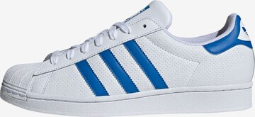 Baskets basses 'Superstar ' ADIDAS ORIGINALS en blanc : devant