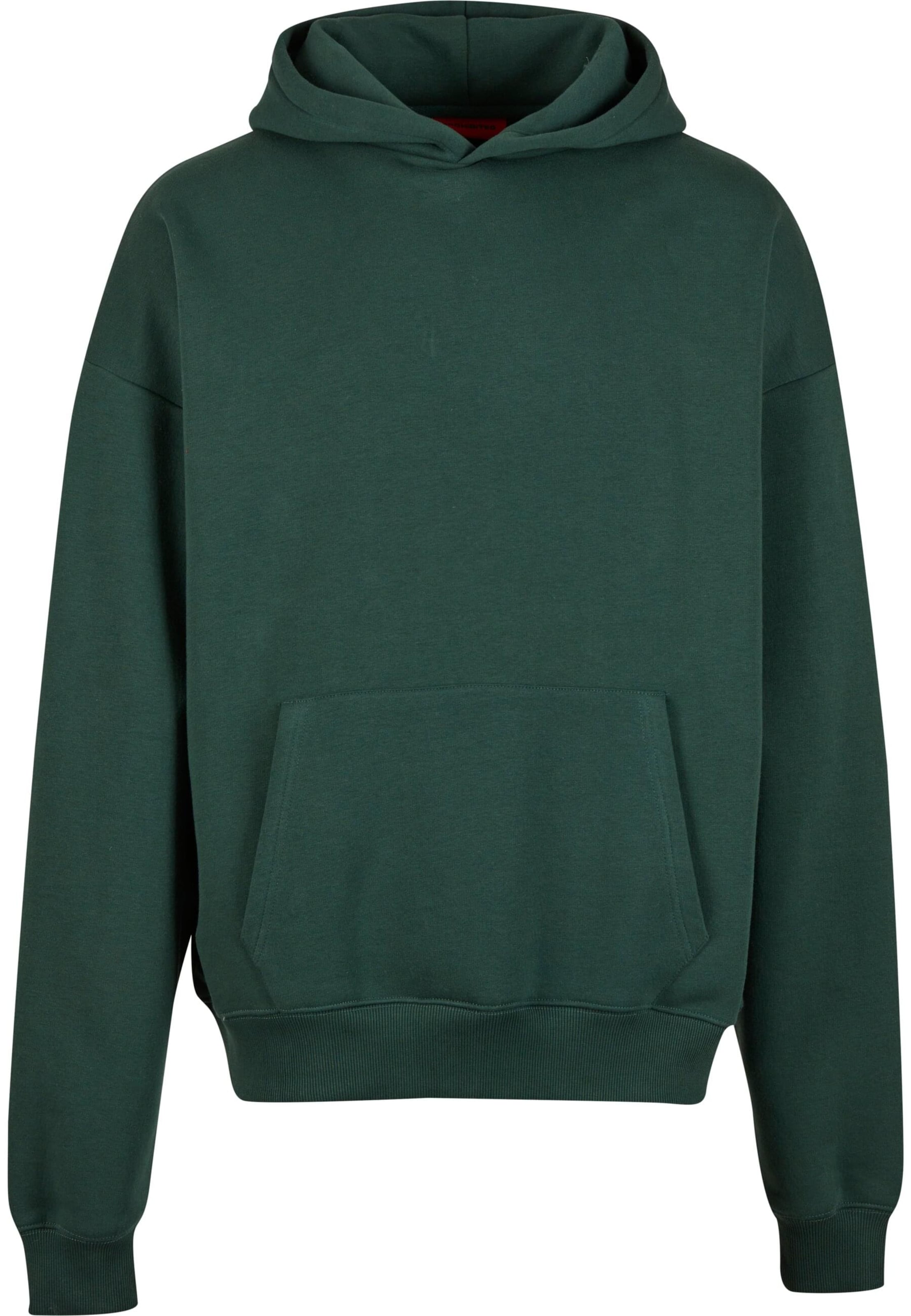 Prohibited Sweatshirt 'Drift Hunt' in Green: front