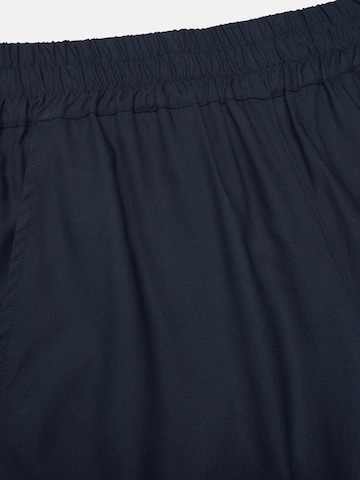 Cellbes of Sweden Loosefit Broek in Blauw